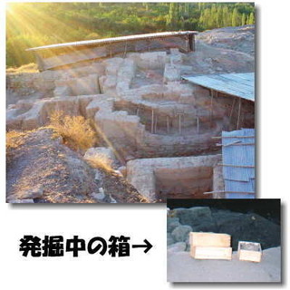 img13_10.jpg