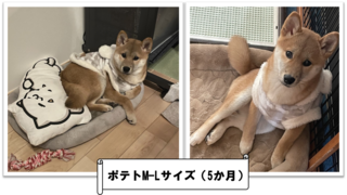 ml.png